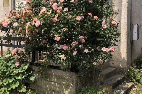 Villa a Passavant-la-Rochere, Haute-Saone, Passavant-la-Rochere - € 124.000 | Ref: IV-13516 - foto 6