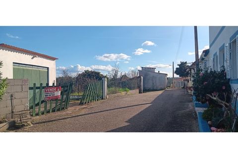 Helårsgrund i Macao, Santarem, Macao - € 35.000 | Ref: TER_314 - foto 2