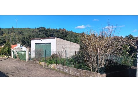 Helårsgrund i Macao, Santarem, Macao - € 35.000 | Ref: TER_314 - foto 5