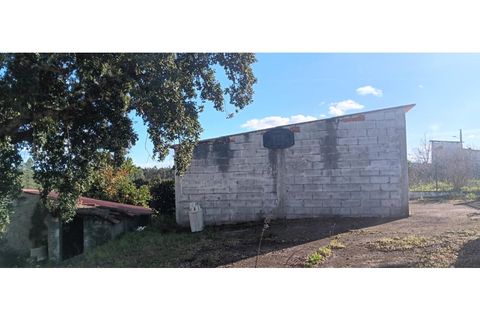 Helårsgrund i Macao, Santarem, Macao - € 35.000 | Ref: TER_314 - foto 7