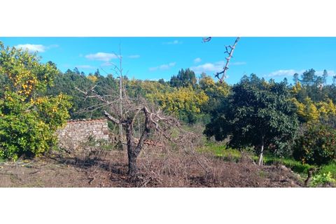 Helårsgrund i Macao, Santarem, Macao - € 35.000 | Ref: TER_314 - foto 12