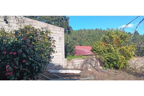 Helårsgrund i Macao, Santarem, Macao - € 35.000 | Ref: TER_314 - foto 14