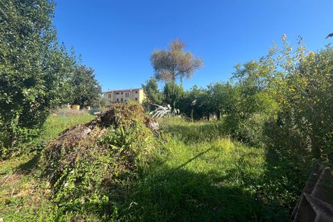Helårsgrund i Cascina, Pisa, Cascina - € 33.000 | Ref: 2025188 - foto 6