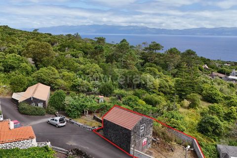 Helårsgrund i Lajes do Pico, Pico, Lajes do Pico - € 67.000 | Ref: 374250178 - foto 3