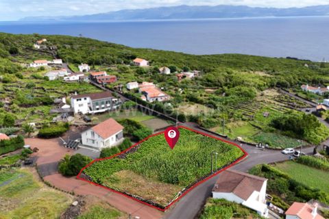 Helårsgrund i Lajes do Pico, Pico, Lajes do Pico - € 41.000 | Ref: 374250182 - foto 2