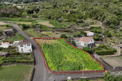 Helårsgrund i Lajes do Pico, Pico, Lajes do Pico - € 41.000 | Ref: 374250182 - foto 4