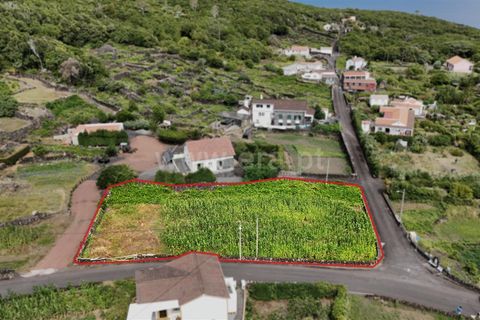 Helårsgrund i Lajes do Pico, Pico, Lajes do Pico - € 41.000 | Ref: 374250182 - foto 5