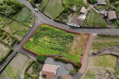 Helårsgrund i Lajes do Pico, Pico, Lajes do Pico - € 41.000 | Ref: 374250182 - foto 6