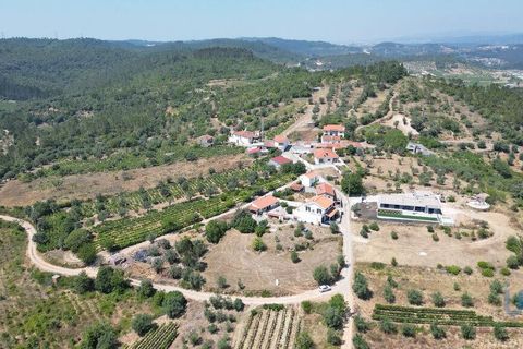 Tomt i Penela, Coimbra, Penela - € 89 000 | Ref: 146726 - foto 3