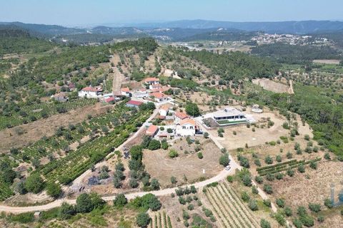 Tomt i Penela, Coimbra, Penela - € 89 000 | Ref: 146726 - foto 4
