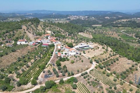 Tomt i Penela, Coimbra, Penela - € 89 000 | Ref: 146726 - foto 5