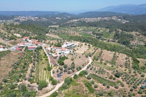 Tomt i Penela, Coimbra, Penela - € 89 000 | Ref: 146726 - foto 7