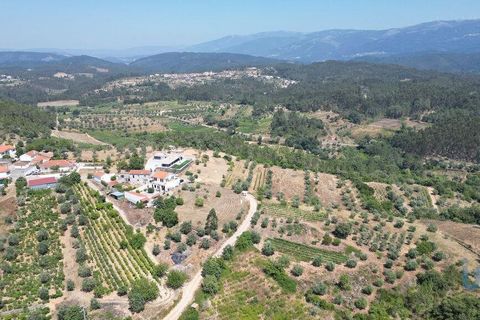 Tomt i Penela, Coimbra, Penela - € 89 000 | Ref: 146726 - foto 8