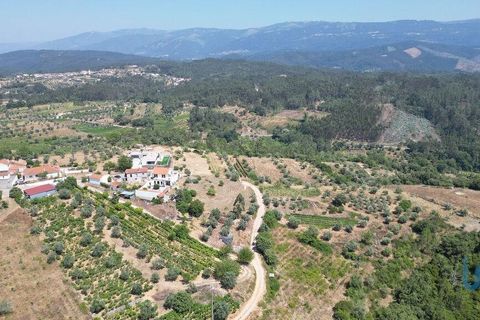 Tomt i Penela, Coimbra, Penela - € 89 000 | Ref: 146726 - foto 9