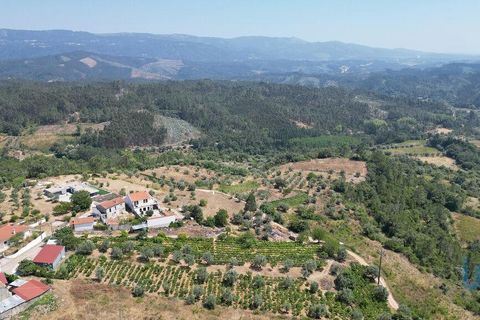 Tomt i Penela, Coimbra, Penela - € 89 000 | Ref: 146726 - foto 10