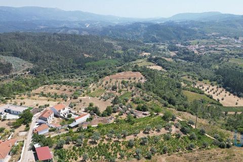 Tomt i Penela, Coimbra, Penela - € 89 000 | Ref: 146726 - foto 11