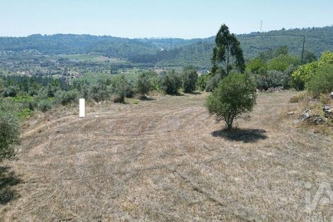 Tomt i Penela, Coimbra, Penela - € 89 000 | Ref: 146726 - foto 16