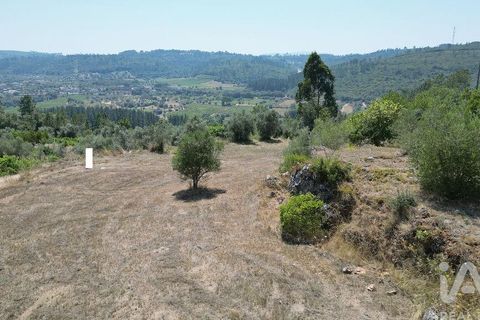 Tomt i Penela, Coimbra, Penela - € 89 000 | Ref: 146726 - foto 17
