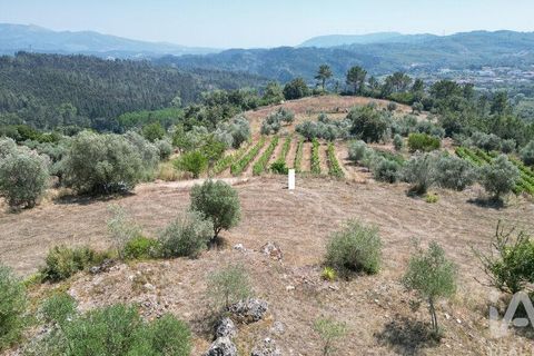 Tomt i Penela, Coimbra, Penela - € 89 000 | Ref: 146726 - foto 18