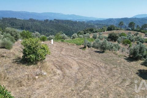 Tomt i Penela, Coimbra, Penela - € 89 000 | Ref: 146726 - foto 19