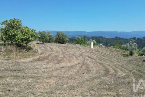 Tomt i Penela, Coimbra, Penela - € 89 000 | Ref: 146726 - foto 20