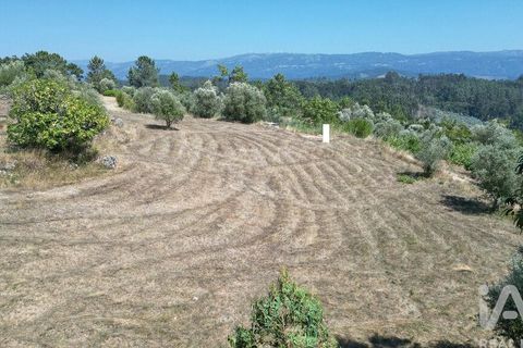 Tomt i Penela, Coimbra, Penela - € 89 000 | Ref: 146726 - foto 21