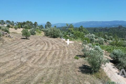 Tomt i Penela, Coimbra, Penela - € 89 000 | Ref: 146726 - foto 22