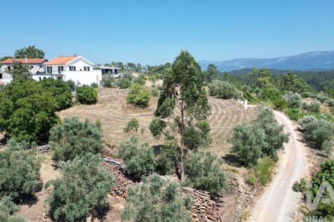Tomt i Penela, Coimbra, Penela - € 89 000 | Ref: 146726 - foto 23