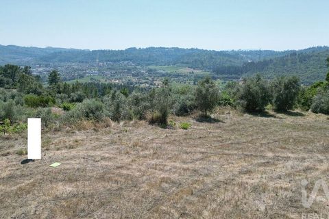 Tomt i Penela, Coimbra, Penela - € 89 000 | Ref: 146726 - foto 25