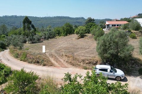 Tomt i Penela, Coimbra, Penela - € 89 000 | Ref: 146726 - foto 26