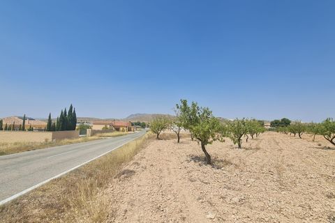 Helårsgrund i Jumilla, Murcia, Jumilla - € 34.995 | Ref: 45060-HK - foto 2
