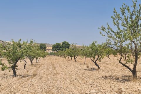 Helårsgrund i Jumilla, Murcia, Jumilla - € 34.995 | Ref: 45060-HK - foto 4