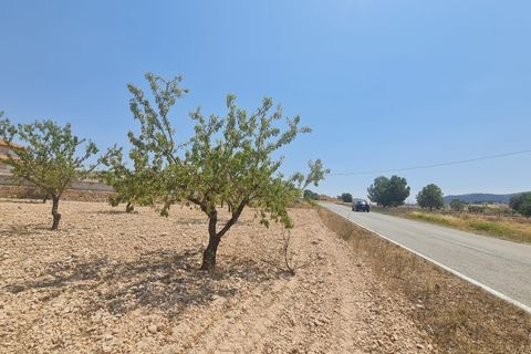 Helårsgrund i Jumilla, Murcia, Jumilla - € 34.995 | Ref: 45060-HK - foto 5