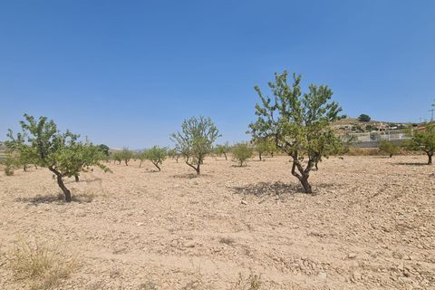 Helårsgrund i Jumilla, Murcia, Jumilla - € 34.995 | Ref: 45060-HK - foto 6