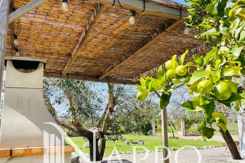 Villa a Campanet, Mallorca, Campanet - € 595.000 | Ref: 4019 - foto 36