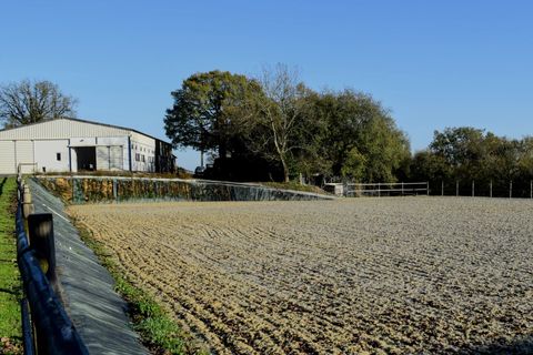 Villa i Ruffec, Charente, Ruffec - € 1.180.000 | Ref: BVI82052 - foto 11