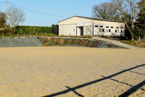 Villa i Ruffec, Charente, Ruffec - € 1.180.000 | Ref: BVI82052 - foto 13