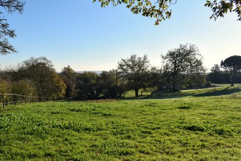 Villa i Ruffec, Charente, Ruffec - € 1.180.000 | Ref: BVI82052 - foto 15