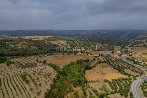 Villa i Vimioso, Braganca, Vimioso - € 375.000 | Ref: C0458-00514 - foto 45