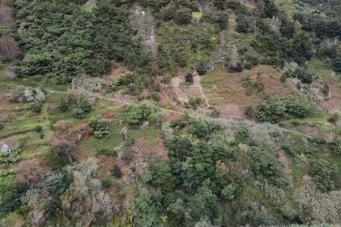 Terra a Santana, Madeira, Santana - € 40.000 | Ref: C0447-00038 - foto 5