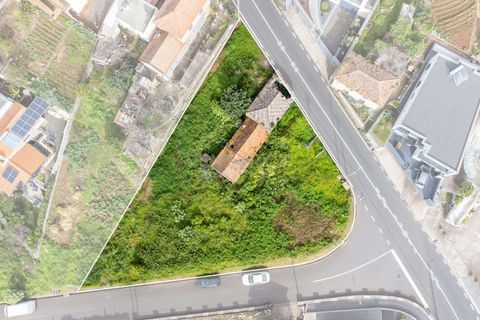 Helårsgrund i Calheta, Madeira, Calheta - € 210.000 | Ref: C0447-00104 - foto 3