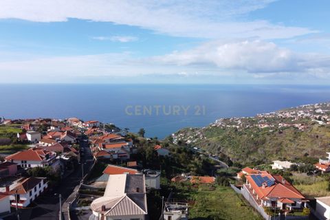 Helårsgrund i Calheta, Madeira, Calheta - € 210.000 | Ref: C0447-00104 - foto 6