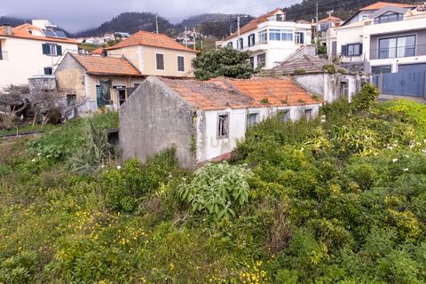 Helårsgrund i Calheta, Madeira, Calheta - € 210.000 | Ref: C0447-00104 - foto 11