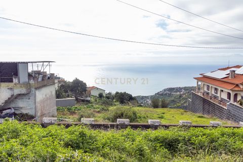 Helårsgrund i Calheta, Madeira, Calheta - € 210.000 | Ref: C0447-00104 - foto 13