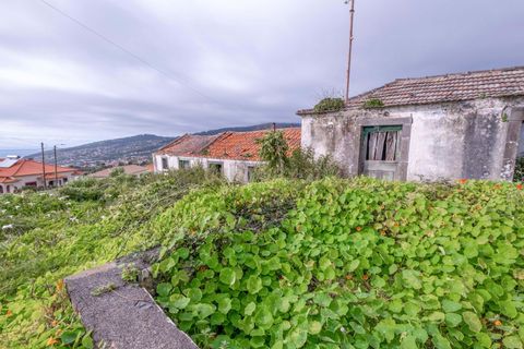 Helårsgrund i Calheta, Madeira, Calheta - € 210.000 | Ref: C0447-00104 - foto 17