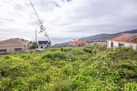 Helårsgrund i Calheta, Madeira, Calheta - € 210.000 | Ref: C0447-00104 - foto 19