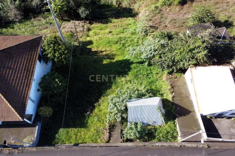 Terra a Santana, Madeira, Santana - € 85.000 | Ref: C0447-00077 - foto 3
