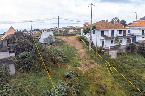 Terra a Santana, Madeira, Santana - € 85.000 | Ref: C0447-00077 - foto 6