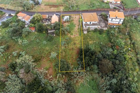 Terra a Santana, Madeira, Santana - € 85.000 | Ref: C0447-00077 - foto 9