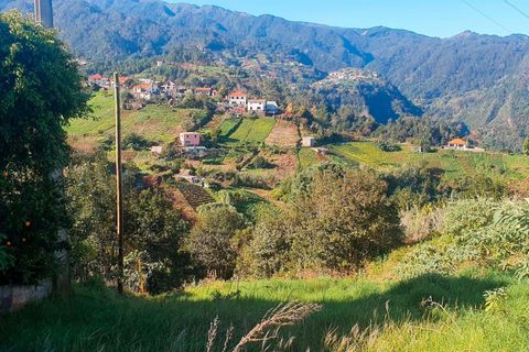 Terra a Santana, Madeira, Santana - € 85.000 | Ref: C0447-00077 - foto 10